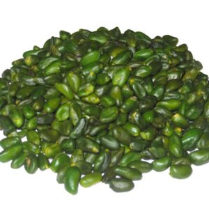 Green peeled pistachio kernel