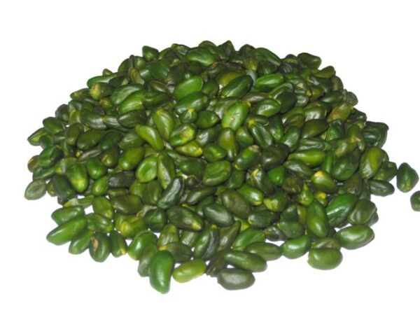 Green peeled pistachio kernel